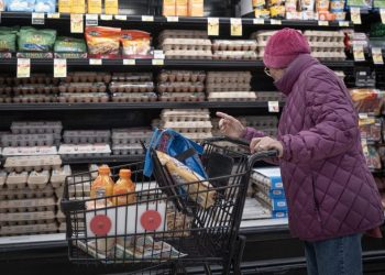 Egg prices are falling, with a dozen now less than $5