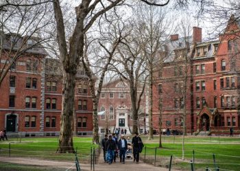 Harvard’s battle with the Trump administration is creating a thorny financial situation